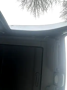 Lionayowe online show from November 19, 10:59 am