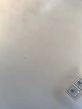 Snapshot of Tristris100 chatting on December 23, 8:14 pm Tristris100 online show from December 23, 8:14 pm