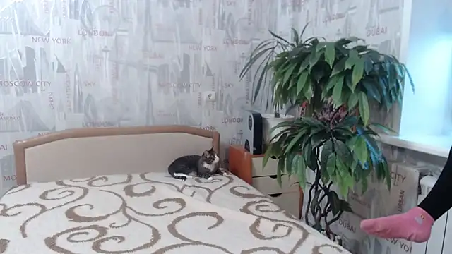 GinaQSoul online show from February 20, 11:22 am