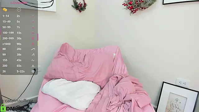 Snapshot of catalinaofficer chatting on November 30, 11:14 am catalinaofficer online show from November 30, 11:14 am