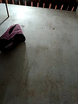 Daniellhck online show from November 23, 12:05 pm