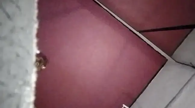 Mariusz38x online show from December 30, 10:34 pm