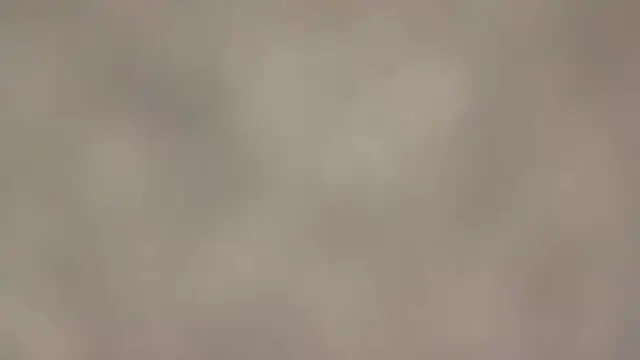 Snapshot of fmodel chatting on September 11, 1:44 pm fmodel online show from September 11, 1:44 pm