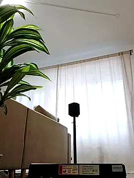 mister-dwt online show from February 26, 6:47 am