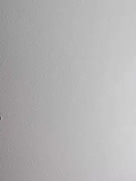 mister-dwt online show from October 12, 10:58 am