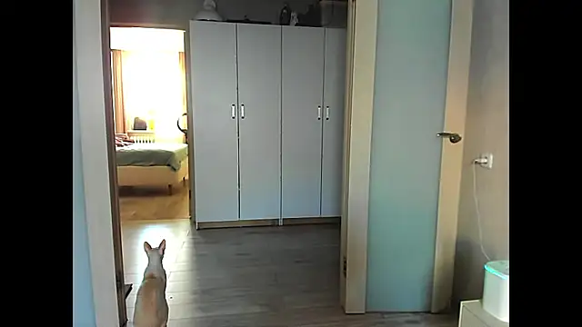 Snapshot of sweeetgirls2021 chatting on December 12, 2:04 am sweeetgirls2021 online show from December 12, 2:04 am