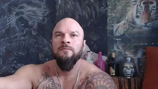 viking 30 online show from November 21, 7:51 am