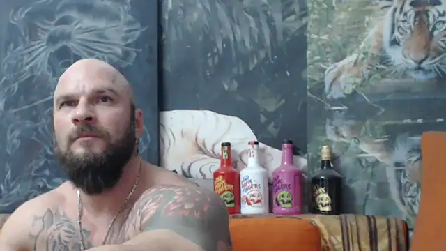 viking 30 online show from November 28, 7:49 pm