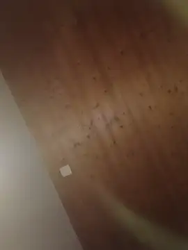 Kw8585kw online show from March 1, 8:22 pm