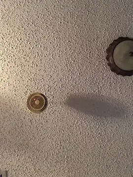 danieldonte online show from April 23, 12:51 pm