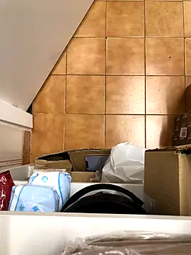 Mindnorthcam2 online show from November 17, 7:36 am