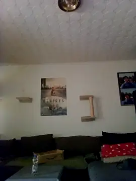 Snapshot of Codymc89 chatting on June 30, 2:18 pm Codymc89 online show from June 30, 2:18 pm
