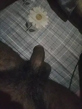 naxusxh online show from November 7, 5:57 pm