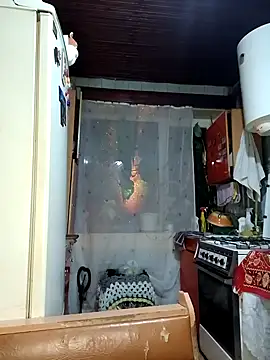 Xelenaxcbbs online show from February 19, 1:18 am