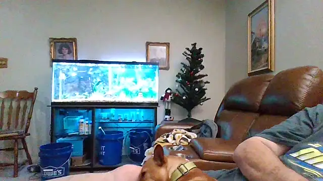 Snapshot of 1964peterbilt1 chatting on December 30, 1:48 am 1964peterbilt1 online show from December 30, 1:48 am