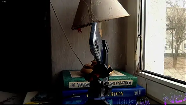 Snapshot of FireFox_Feel chatting on December 6, 10:38 am FireFox Feel online show from December 6, 10:38 am