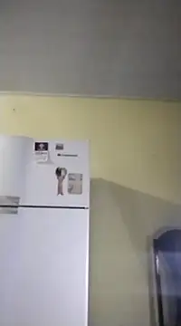 Snapshot of catdool chatting on February 14, 10:07 am catdool online show from February 14, 10:07 am