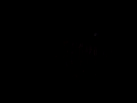 Snapshot of catdool chatting on February 14, 11:31 pm catdool online show from February 14, 11:31 pm