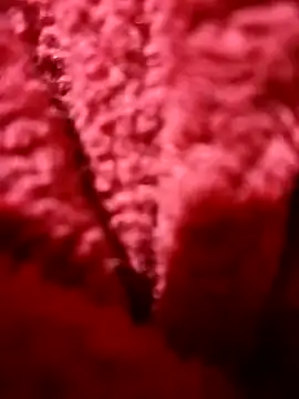 modelo38528061 online show from December 14, 1:49 pm