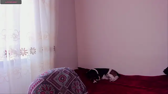 Snapshot of aluna_0310 chatting on December 20, 8:45 pm aluna 0310 online show from December 20, 8:45 pm