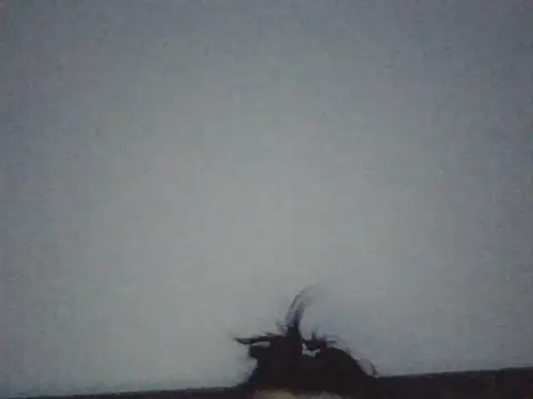 FallenDevil online show from July 3, 7:09 pm