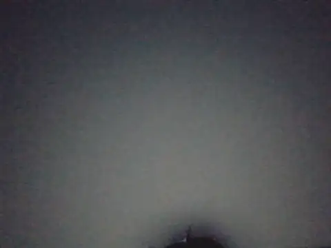 FallenDevil online show from July 29, 7:23 pm