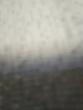 Snapshot of fit_ass_2021 chatting on July 11, 3:04 pm fit ass 2021 online show from July 11, 3:04 pm