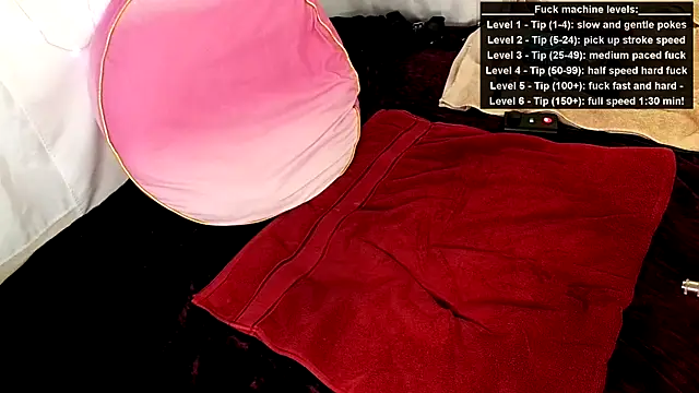 Snapshot of GamerGirlRoxyAndLee chatting on June 15, 8:22 pm GamerGirlRoxyAndLee online show from June 15, 8:22 pm