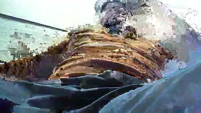 Billywax online show from January 8, 9:11 am