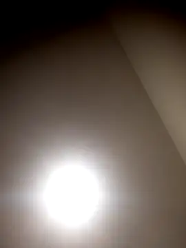 sua sub  online show from March 23, 8:29 am