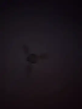 1Aleks13 online show from November 25, 10:54 pm