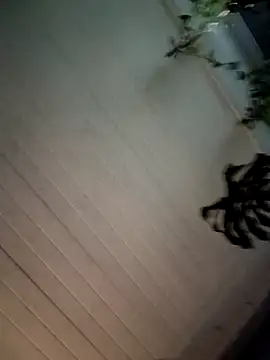 Snapshot of Nikkierosee chatting on December 14, 10:56 am Nikkierosee online show from December 14, 10:56 am