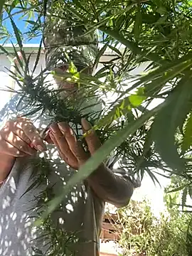 Alicbranca online show from March 22, 3:26 pm