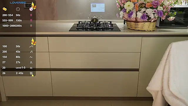 Snapshot of Vassiilisa chatting on December 19, 9:17 pm Vassiilisa online show from December 19, 9:17 pm