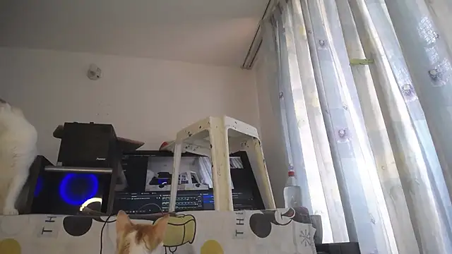 eolicasex online show from April 4, 4:26 pm