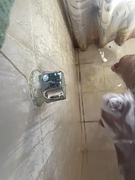 MisaelR10 online show from September 23, 9:29 pm