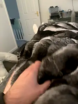 Furdale online show from September 10, 4:29 pm