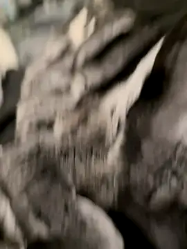 Furdale online show from October 31, 7:04 pm