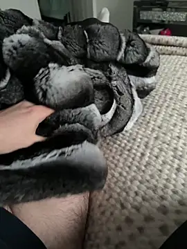 Furdale online show from February 9, 3:38 pm