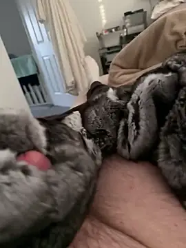 Furdale online show from February 17, 4:24 pm