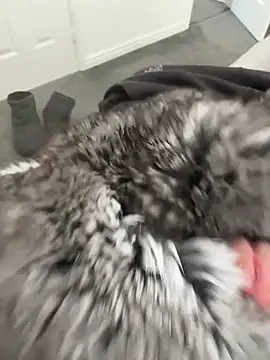 Furdale online show from April 16, 12:17 pm