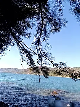 Snapshot of Poyraz6996 chatting on October 17, 11:46 am Poyraz6996 online show from October 17, 11:46 am