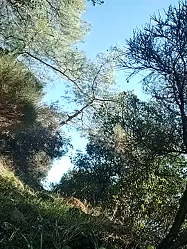 Snapshot of Poyraz6996 chatting on November 14, 11:53 am Poyraz6996 online show from November 14, 11:53 am