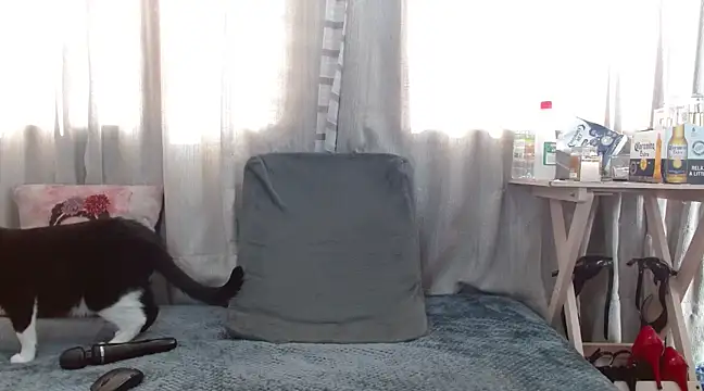 Boonny Boo01 online show from February 1, 1:41 pm