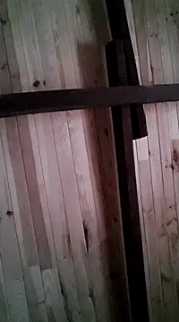 davigochi77bcn online show from March 6, 11:20 pm