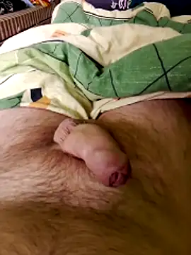 Robertvirt online show from March 25, 10:43 am