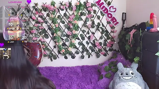 Snapshot of MidoriQuiinn chatting on January 28, 5:03 pm MidoriQuiinn online show from January 28, 5:03 pm