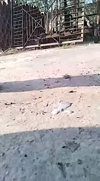 Pitercom online show from March 9, 7:12 am