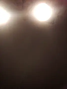 lilianashemale online show from November 1, 3:08 am