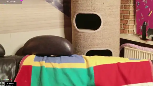 Snapshot of GamerGirl_Eve chatting on February 1, 6:28 pm GamerGirl Eve online show from February 1, 6:28 pm